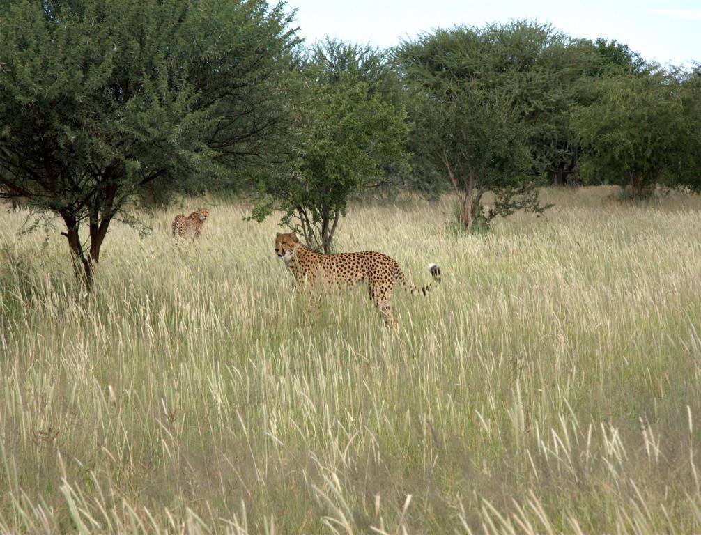 Villa Mokuti Etosha Fort Fort Namutoni Exterior foto