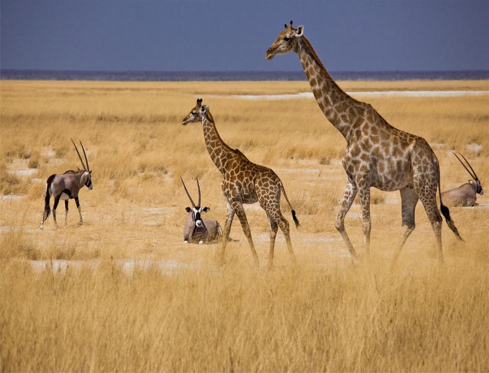 Villa Mokuti Etosha Fort Fort Namutoni Exterior foto