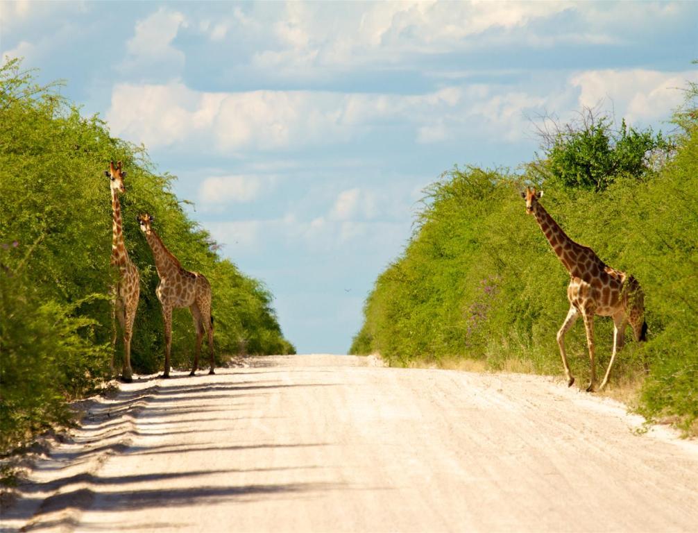 Villa Mokuti Etosha Fort Fort Namutoni Exterior foto