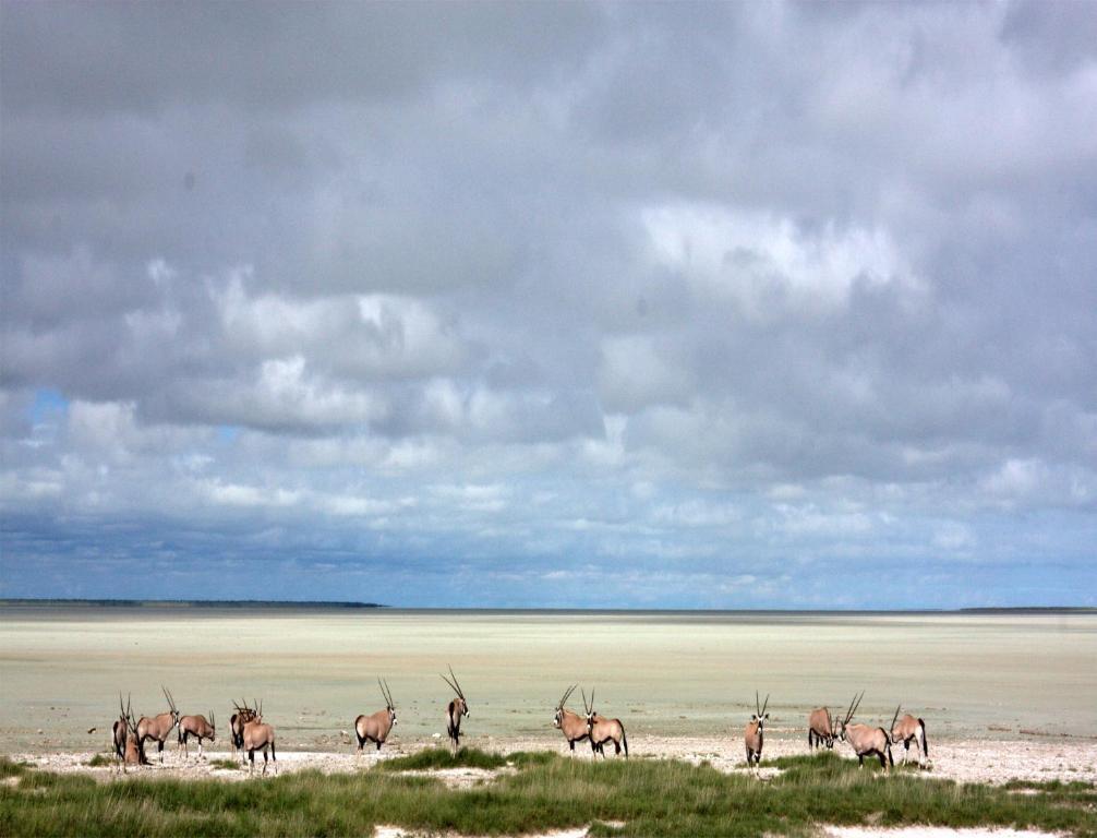 Villa Mokuti Etosha Fort Fort Namutoni Exterior foto