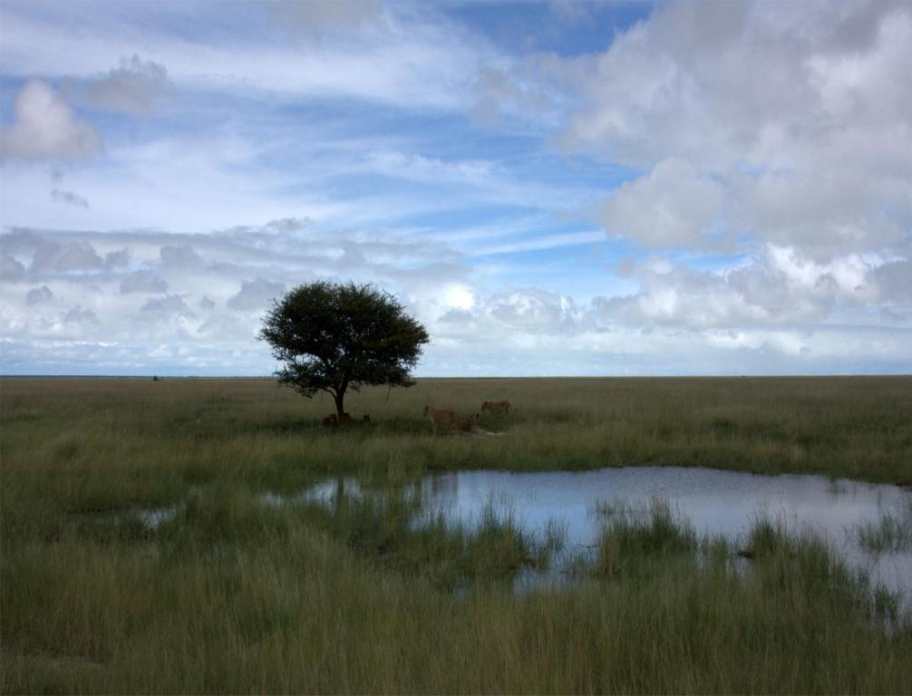 Villa Mokuti Etosha Fort Fort Namutoni Exterior foto