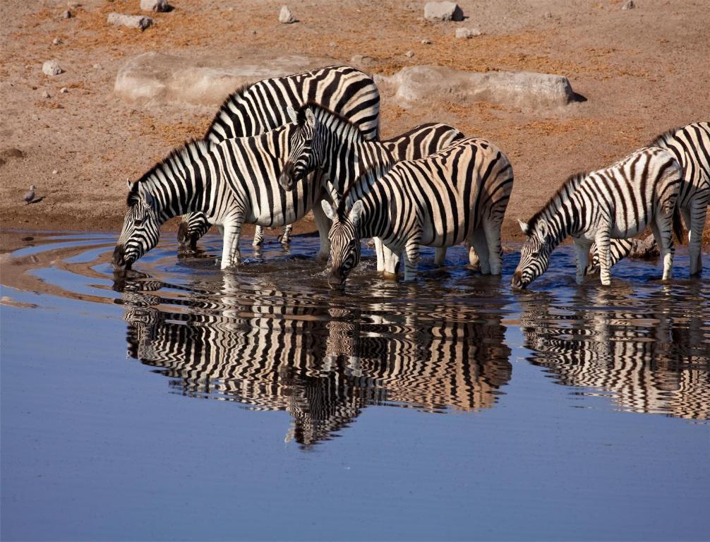 Villa Mokuti Etosha Fort Fort Namutoni Exterior foto